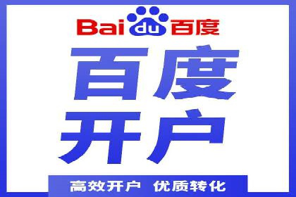 SEM广告投放的竞价策略与效果评估案例